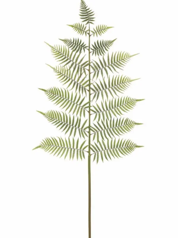 Aldik Home Tropical Plants & Flowers<Fern Spray 66 in. Green