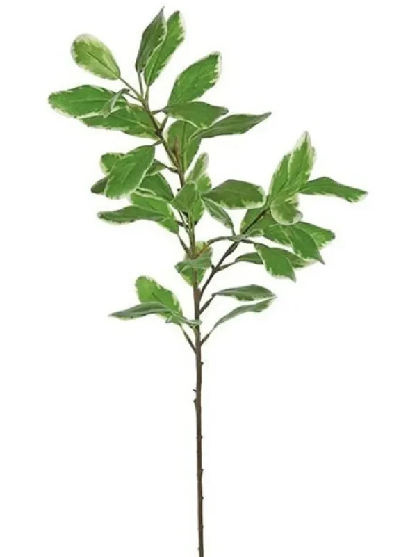 Aldik Home Tropical Plants & Flowers<Ficus Leaf Branch 29 in. Green / White