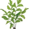 Aldik Home Tropical Plants & Flowers<Fishtail Palm 31 in. Green