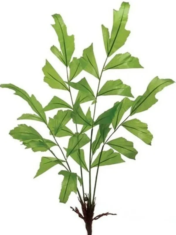 Aldik Home Tropical Plants & Flowers<Fishtail Palm 31 in. Green