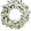 Aldik Home Christmas Garlands And Wreaths<Flocked Norway Pine Wreath 36 in. Staylit