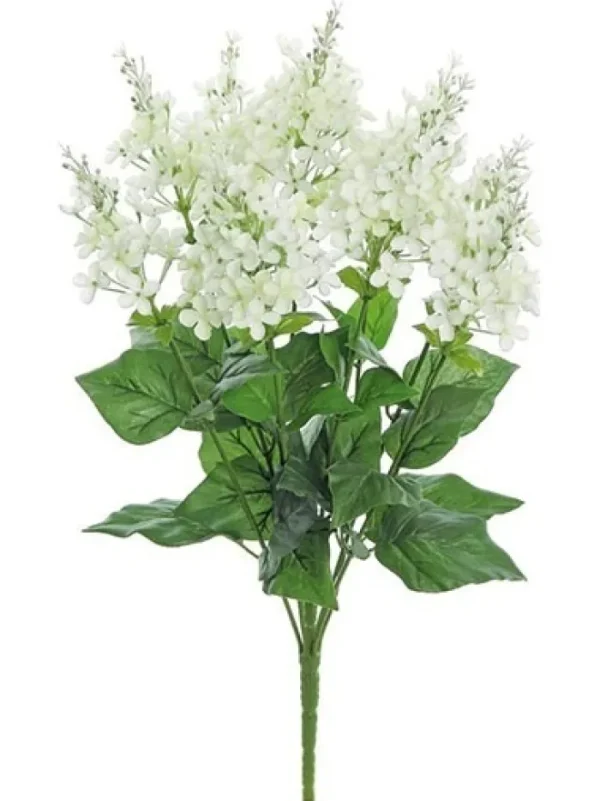 Aldik Home Flowering Bushes<Garden Lilac Bush 21 in. Cream / White