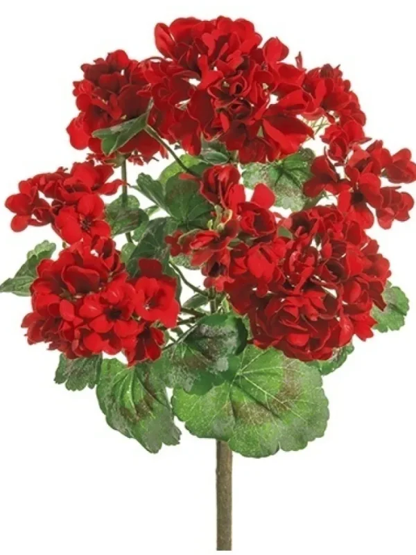 Aldik Home Flowering Bushes<Geranium Bush 24 in. Red