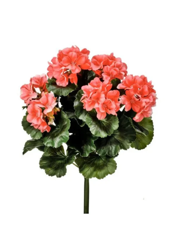 Aldik Home Flowering Bushes<Geranium Bush 17 in. Salmon