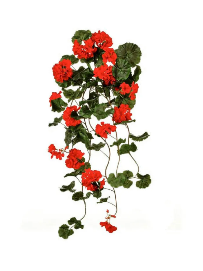 hanging_geranium_plant__i_0-2.webp Aldik Home Flowering Bushes<Hanging Geranium Plant 36 in. Red