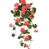 Aldik Home Flowering Bushes<Hanging Geranium Plant 36 in. Salmon