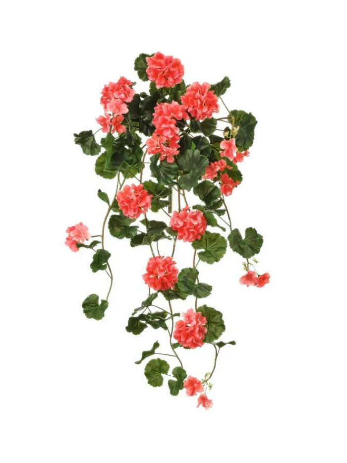 hanging_geranium_plant__i_0-3.webp Aldik Home Flowering Bushes<Hanging Geranium Plant 36 in. Salmon