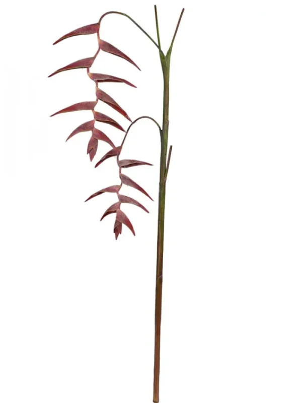 Aldik Home Tropical Plants & Flowers<Hanging Heliconia 70 in. Red