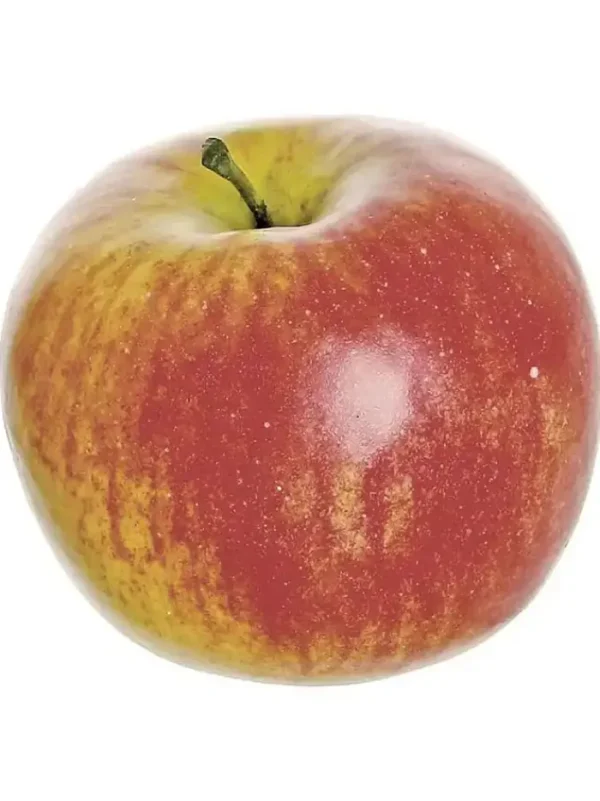 Aldik Home Fruit And Vegetables<Honeycrisp Apple 4 in. Red