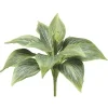 Aldik Home Desk Plants | Tropical Plants & Flowers<Hosta Bush Green 8 in.