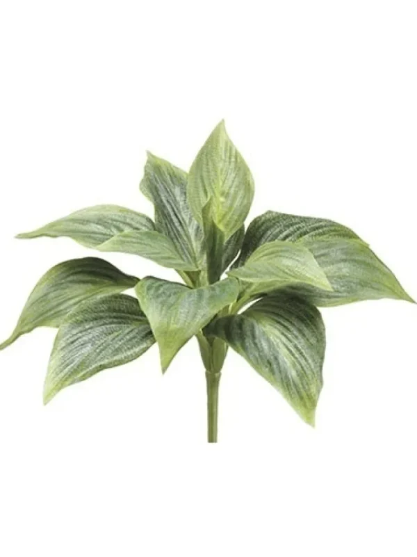 Aldik Home Desk Plants | Tropical Plants & Flowers<Hosta Bush Green 8 in.