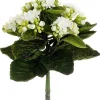 Aldik Home Flowering Bushes<Kalanchoe Bush 9 in. White