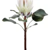 Aldik Home Tropical Plants & Flowers<King Protea 23.5 in. White