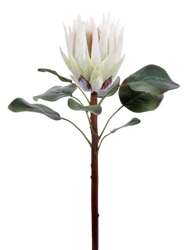 Aldik Home Tropical Plants & Flowers<King Protea 23.5 in. White