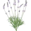 Aldik Home Flowering Bushes<Lavender Bush 14 in.