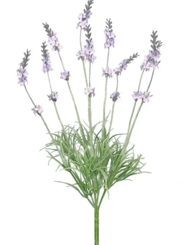Aldik Home Flowering Bushes<Lavender Bush 14 in.