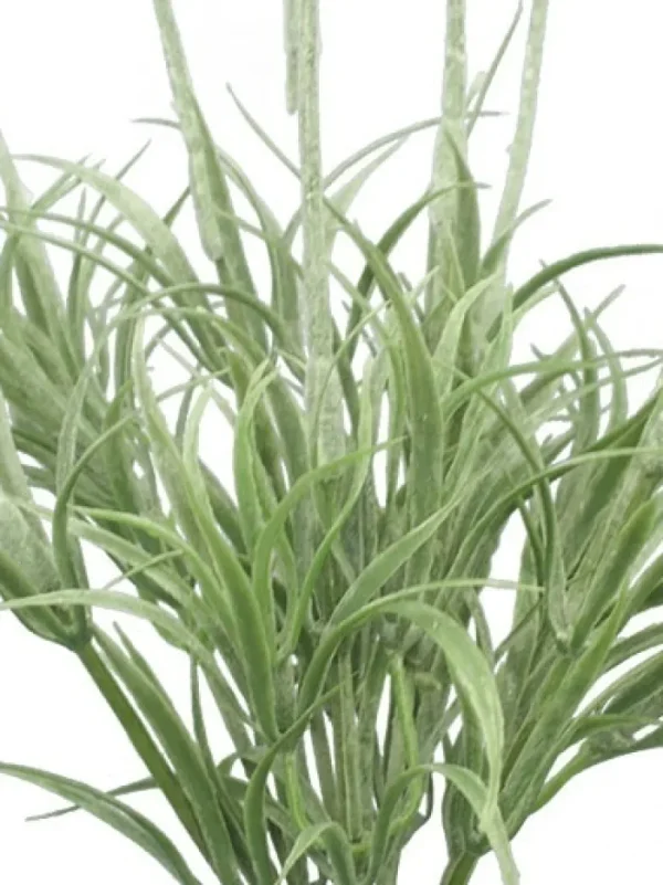 Aldik Home Flowering Bushes<Lavender Bush 14 in.