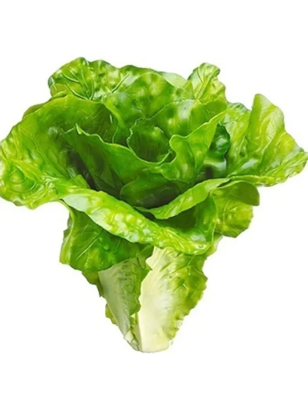 Aldik Home Fruit And Vegetables<Lettuce 6 in. Green