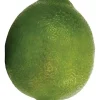 Aldik Home Fruit And Vegetables<Lime 3.1 in.