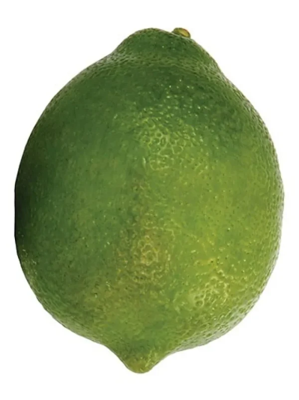 Aldik Home Fruit And Vegetables<Lime 3.1 in.