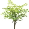 Aldik Home Tropical Plants & Flowers<Maidenhair Fern 18 in.