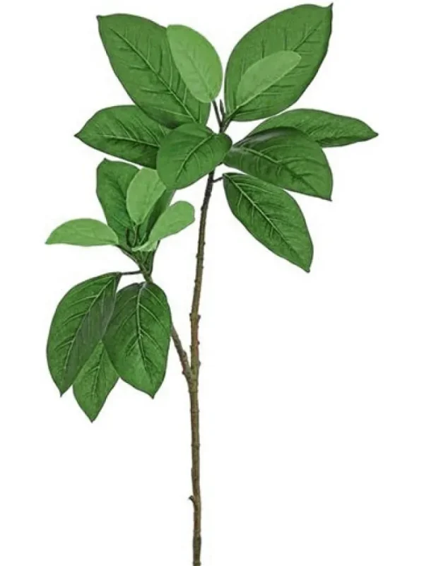 Aldik Home Artificial Tree Branches | Tropical Plants & Flowers<Mangrove Leaf Spray 36 in. Green