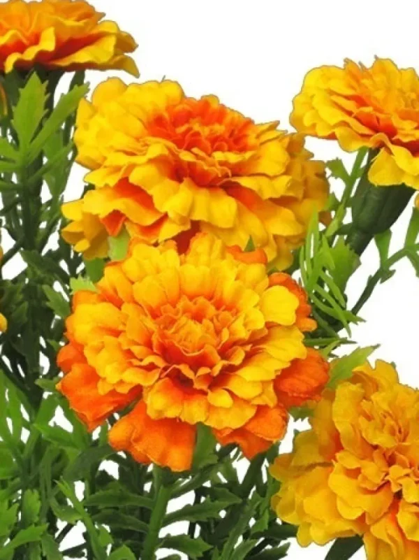 Aldik Home Flowering Bushes<Marigold Bush 14 in. Yellow / Orange