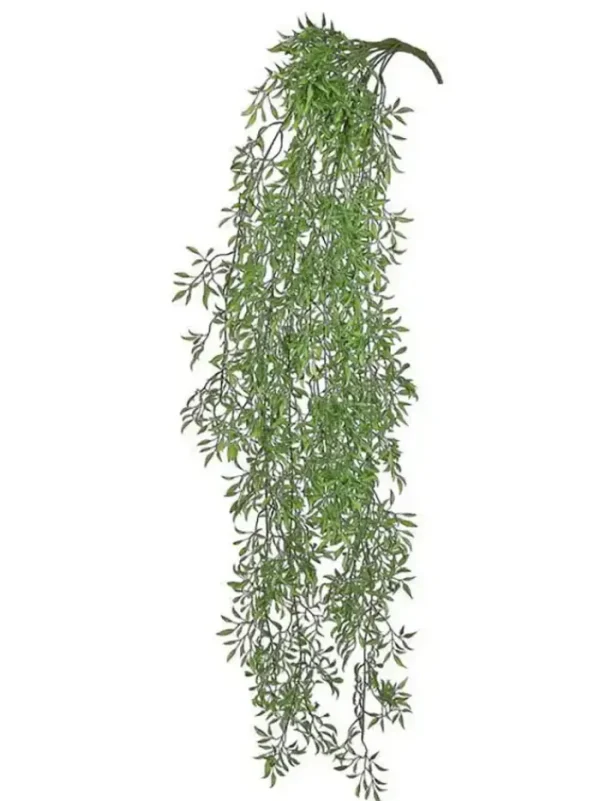 Aldik Home Tropical Plants & Flowers<Mini Ruscus Vine 50 in. Green