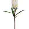 Aldik Home Tropical Plants & Flowers<Mink Protea 29 in. White