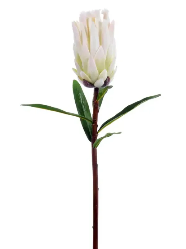 Aldik Home Tropical Plants & Flowers<Mink Protea 29 in. White