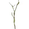 Aldik Home Tropical Plants & Flowers<Mossy Stick 48 in. Green/Brown