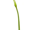 Aldik Home Natural Touch Silk Flowers | Silk Lilies<Natural Touch Calla Lily Bud 28 in. Light Green