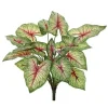 Aldik Home Tropical Plants & Flowers<Natural Touch Calladium 13 in.