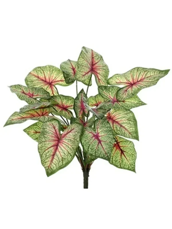 Aldik Home Tropical Plants & Flowers<Natural Touch Calladium 13 in.