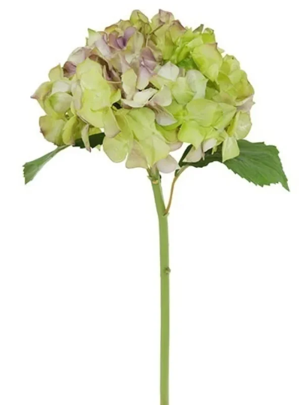 Aldik Home Natural Touch Silk Flowers<Natural Touch Hydrangea 21 in. Lavender / Green