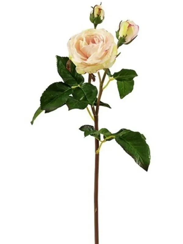 Aldik Home Natural Touch Silk Flowers | Silk Roses<Natural Touch Rose 21.5 in. Champagne