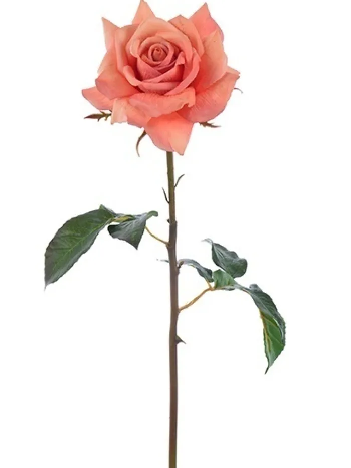 natural_touch_rose_dutche_0-3.webp Aldik Home Natural Touch Silk Flowers | Silk Roses<Natural Touch Rose Dutchess Open 20 in. Deep Salmon