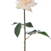 Aldik Home Natural Touch Silk Flowers | Silk Roses<Natural Touch Rose Dutchess Open 20 in. Beige
