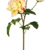 Aldik Home Natural Touch Silk Flowers | Silk Roses<Natural Touch Rose Sweet Juliet 22 in. Coral