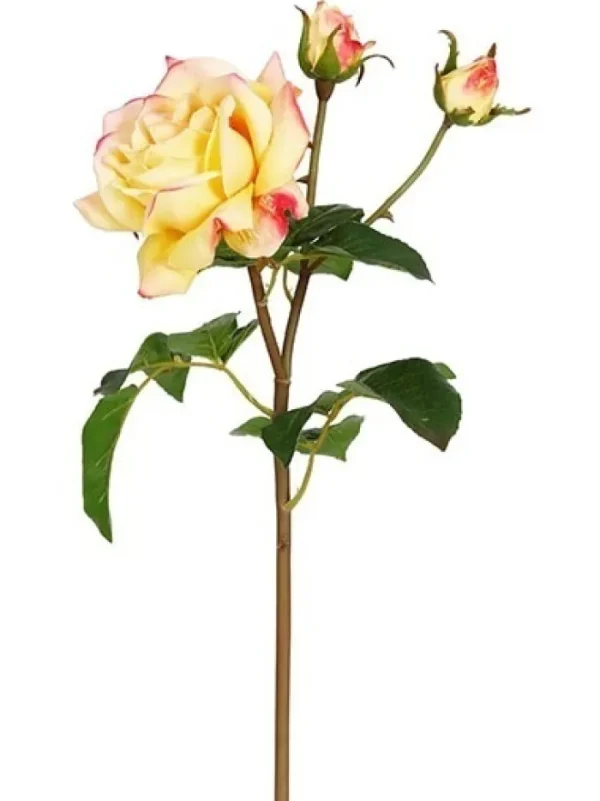 Aldik Home Natural Touch Silk Flowers | Silk Roses<Natural Touch Rose Sweet Juliet 22 in. Coral