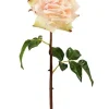 Aldik Home Natural Touch Silk Flowers | Silk Roses<Natural Touch Rose Westminster 20.5 in. Champagne