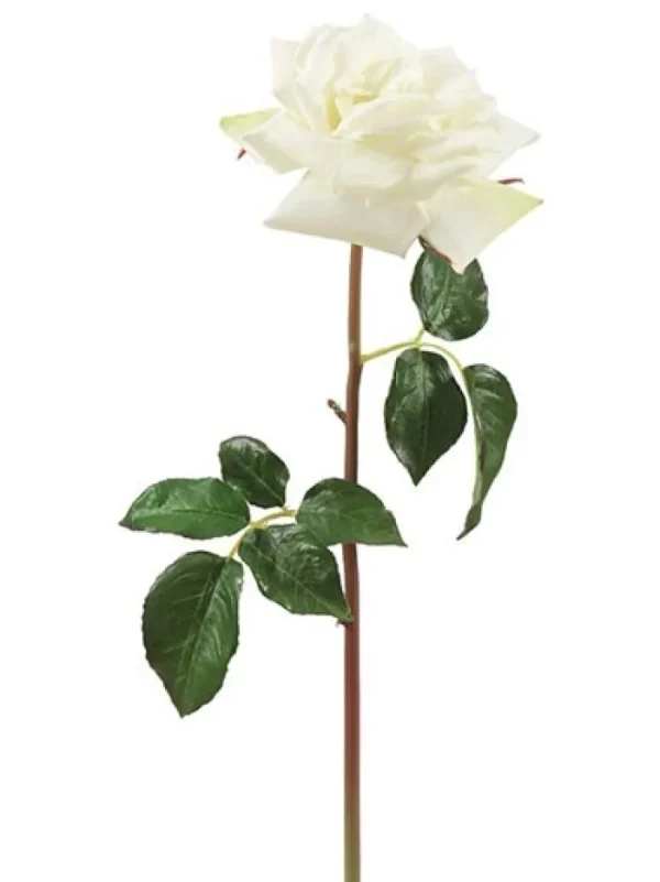 Aldik Home Natural Touch Silk Flowers | Silk Roses<Natural Touch Rose Westminster 20.5 in. White