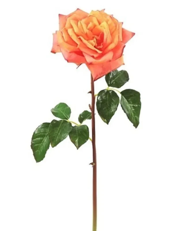 Aldik Home Natural Touch Silk Flowers | Silk Roses<Natural Touch Rose Westminster 20.5 in. Yellow / Peach