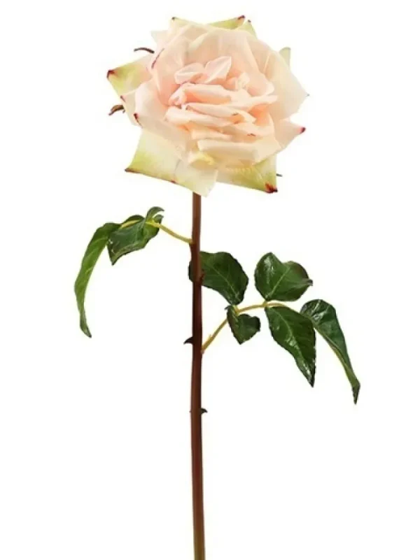 Aldik Home Natural Touch Silk Flowers | Silk Roses<Natural Touch Rose Westminster 20.5 in. Champagne