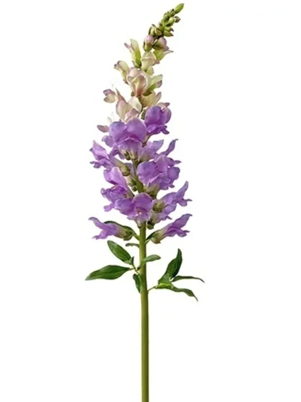 Aldik Home Natural Touch Silk Flowers<Natural Touch Snapdragon 30 in. Purple