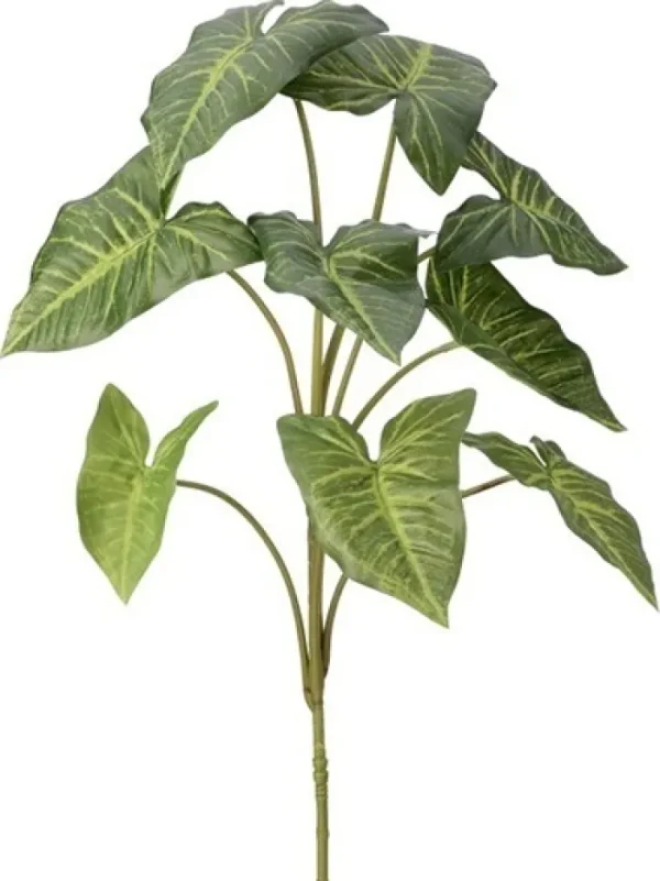 Aldik Home Tropical Plants & Flowers<Nephthytis Plant 32 in.
