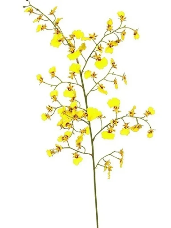 Aldik Home Tropical Plants & Flowers | Silk Orchids<Oncidium Orchid 36.5 in. Yellow