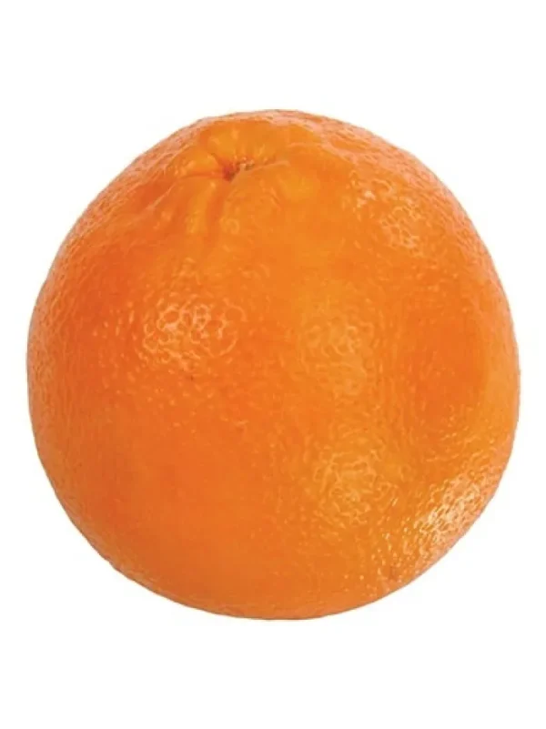 Aldik Home Fruit And Vegetables<Orange 3.5 in.