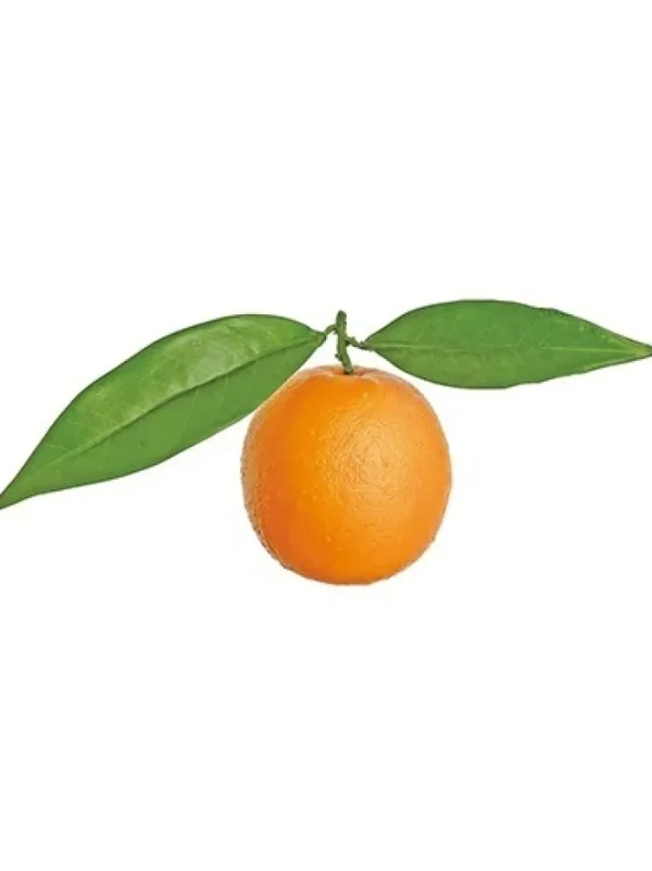 Aldik Home Fruit And Vegetables<Orange w/ Leaves 4.5 in.