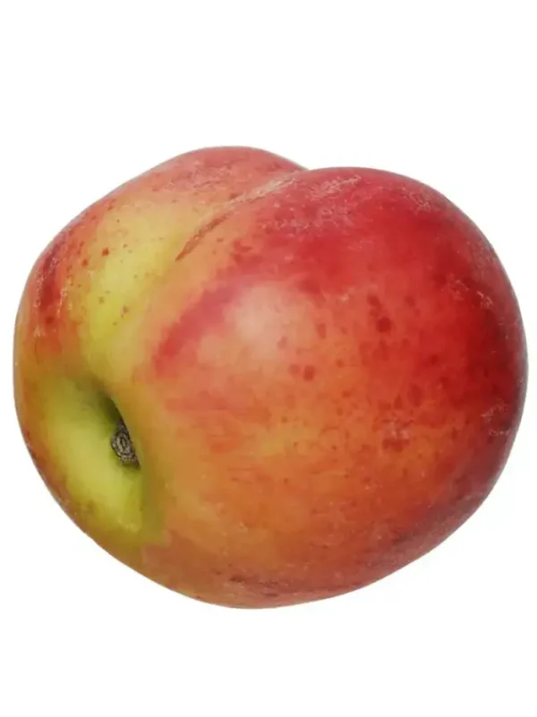 Aldik Home Fruit And Vegetables<Peach 3.5 in.